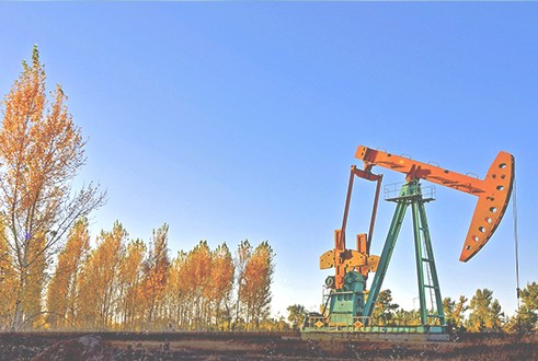 CMC for Drilling Mud